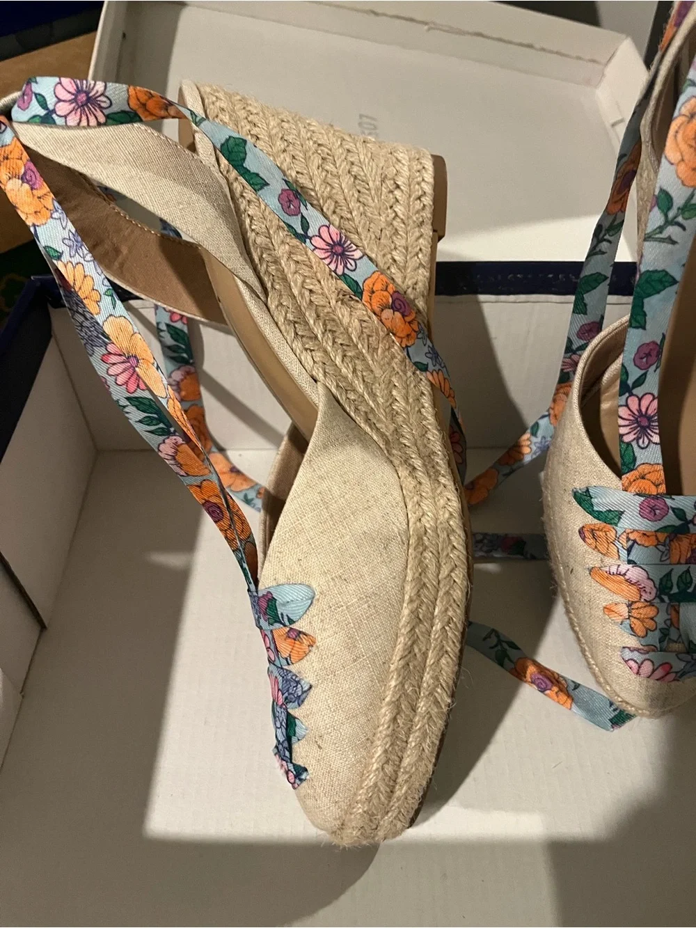 belk crown ivy